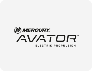 Avator Electric Engines